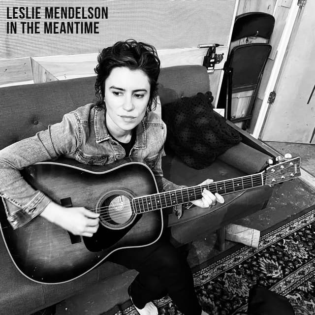 Album cover art for In the Meantime
