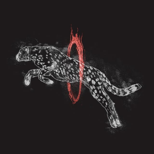 Album cover art for Through Fire