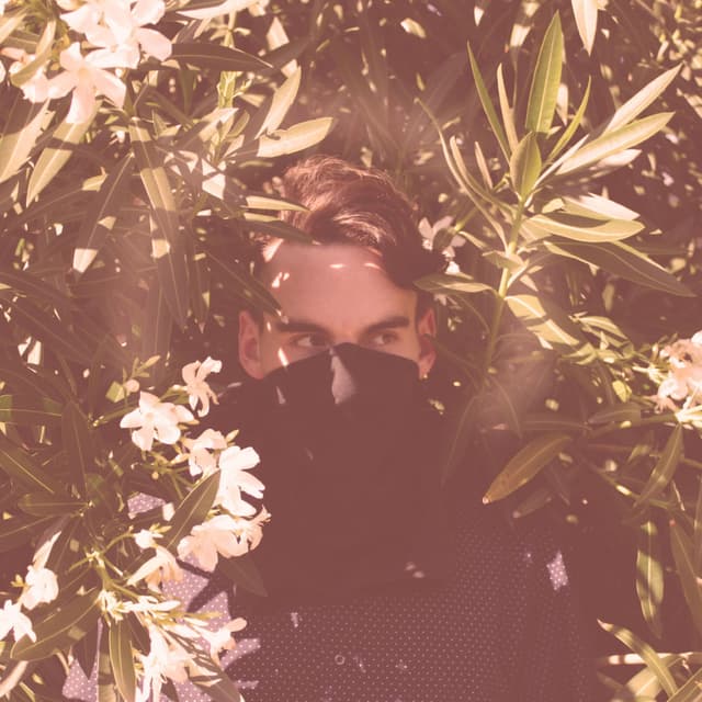 Album cover art for Offering