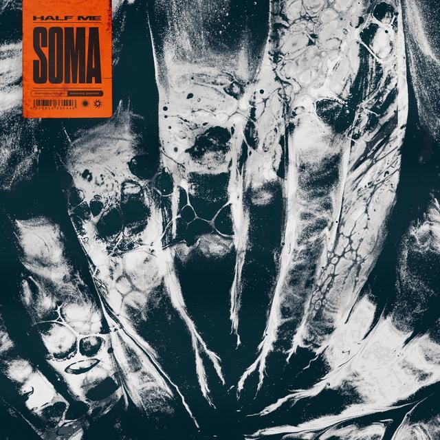 Album cover art for Soma