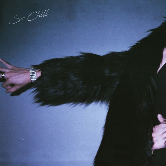 Album cover art for So Chill