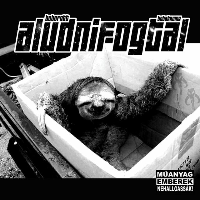 Album cover art for Aludnifogtál