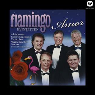 Album cover art for Amor