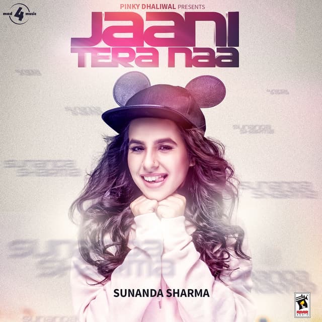 Album cover art for Jaani Tera Naa