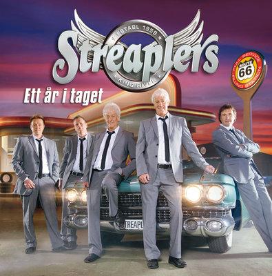 Album cover art for Ett År I Taget