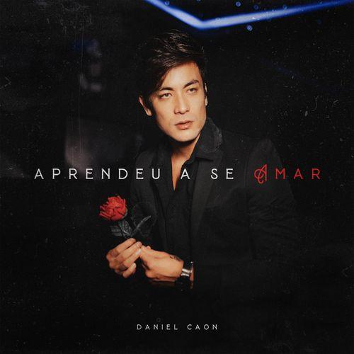 Album cover art for Aprendeu a Se Amar