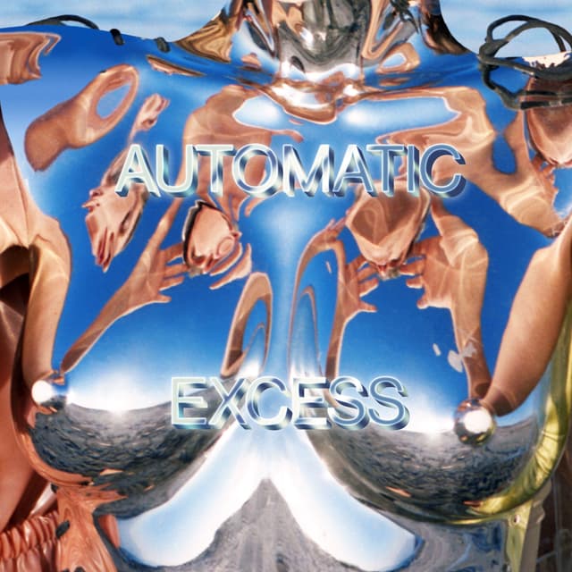 Album cover art for Excess