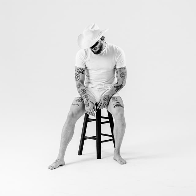 Album cover art for Mule
