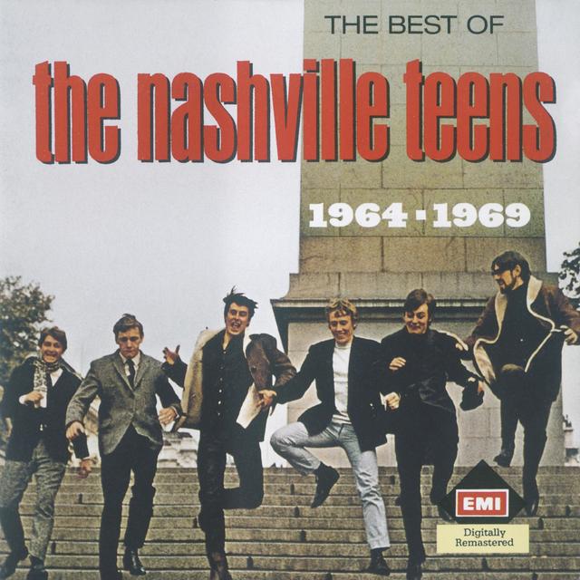 Album cover art for Nashville Teens - The Best Of