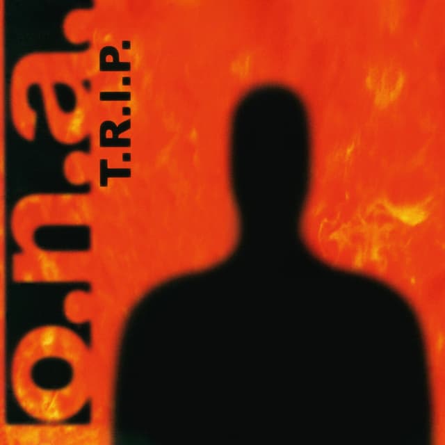 Album cover art for T.R.I.P.