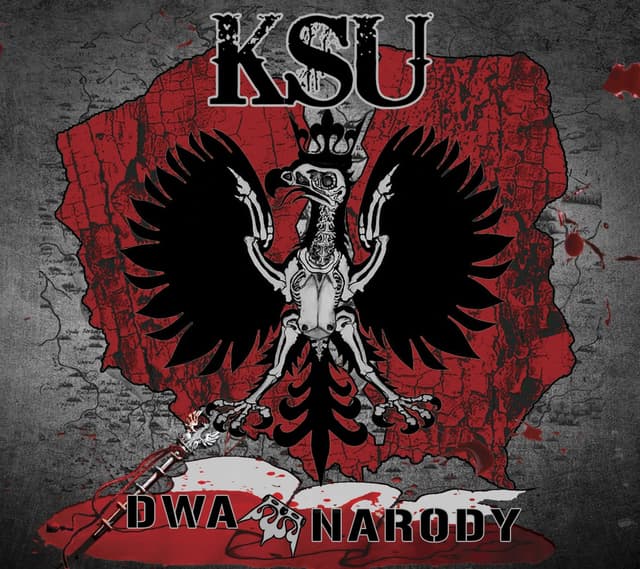 Album cover art for Dwa narody