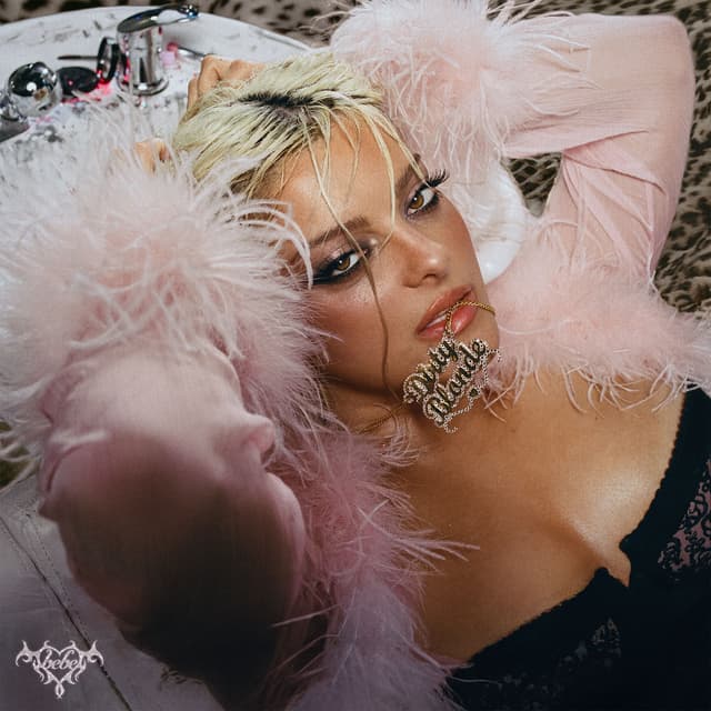 Album cover art for DIRTY BLONDE