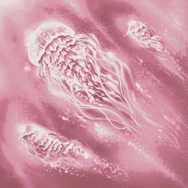 Album cover art for mayday