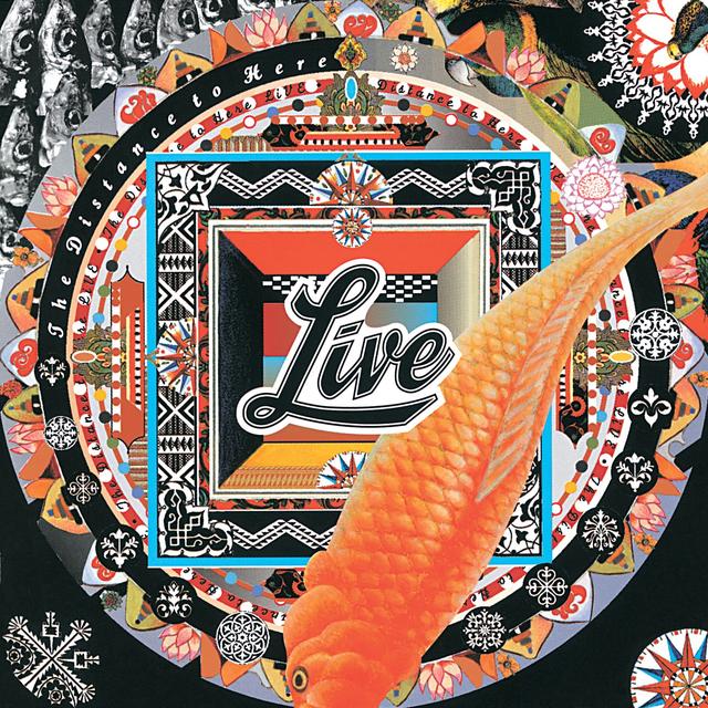 Album cover art for The Distance to Here