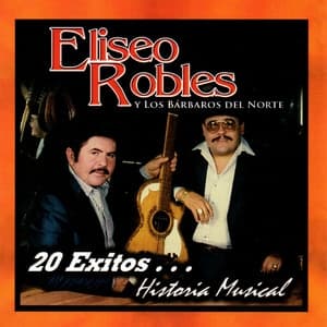 Album cover art for 20 Exitos Historia Musical