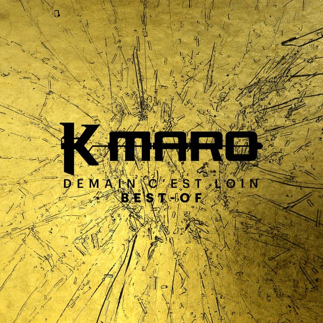 Album cover art for Demain C’Est Loin le Best of