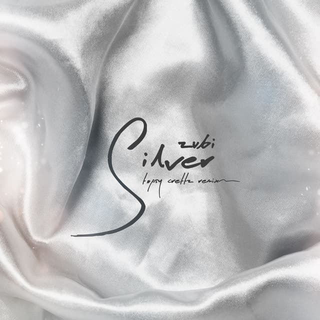 Album cover art for Silver