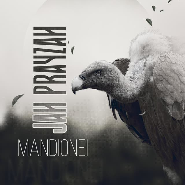 Album cover art for Mandionei