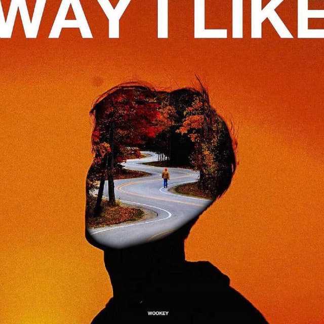 Album cover art for Way I Like