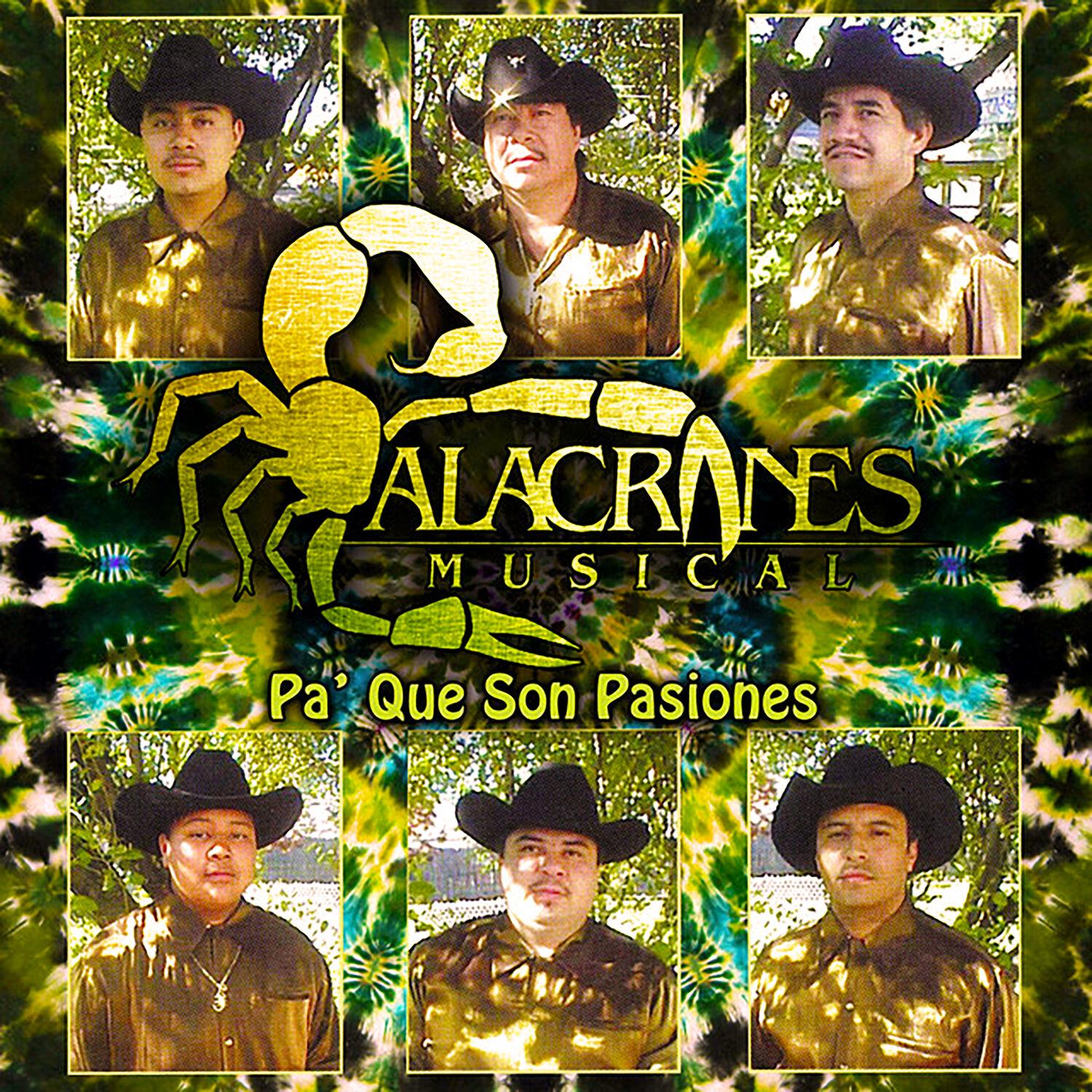 Pa' Que Son Pasiones
