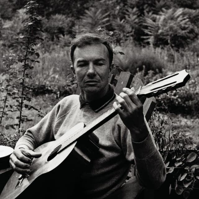 Album cover art for Pete Seeger: A Link In The Chain