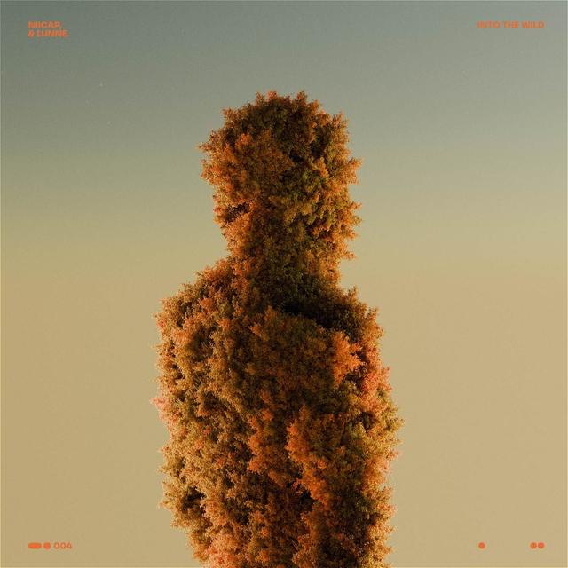 Album cover art for Into The Wild