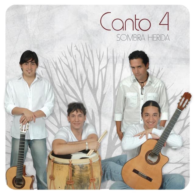 Album cover art for Sombra Herida