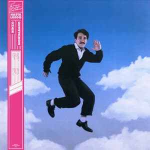 Album cover art for Hasta Luego