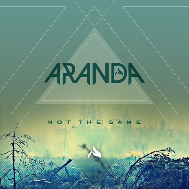 Album cover art for Not the Same