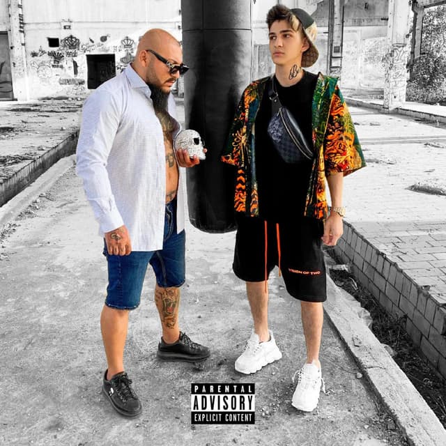 Album cover art for Regii Romaniei