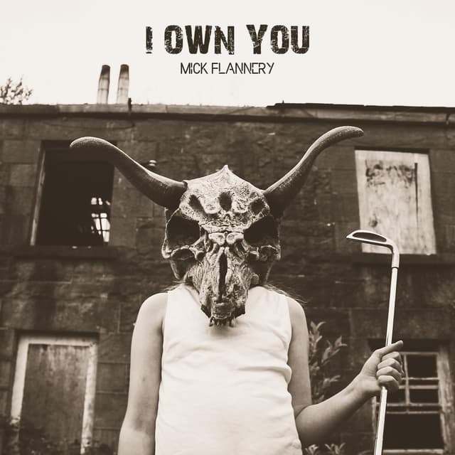 Album cover art for I Own You