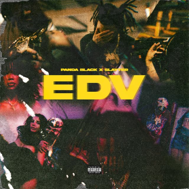 Album cover art for EDV