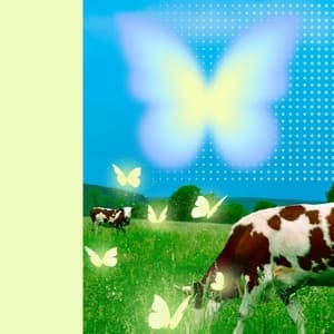 Album cover art for purr