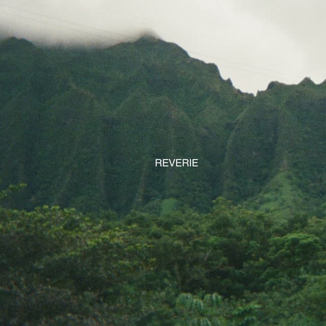 Album cover art for Reverie