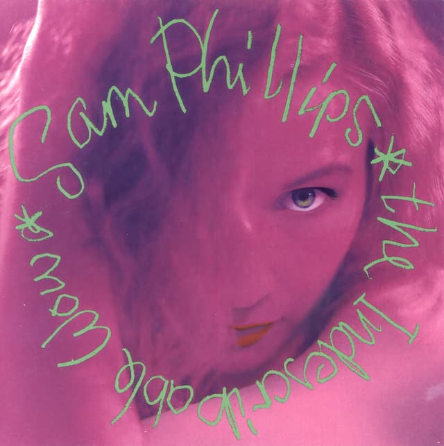 Album cover art for The Indescribable Wow