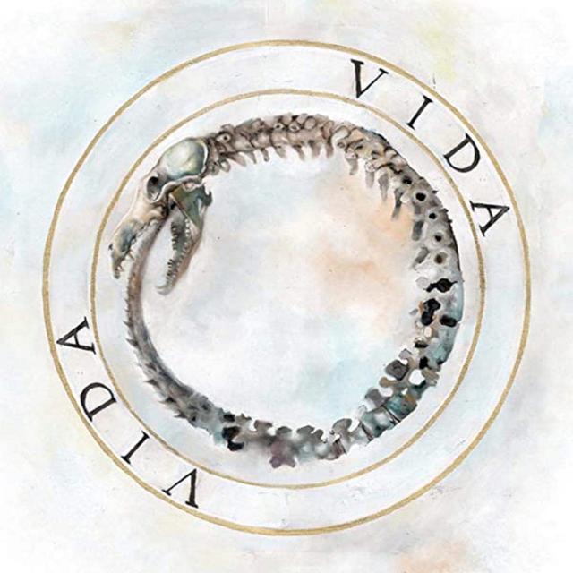 Album cover art for Vida