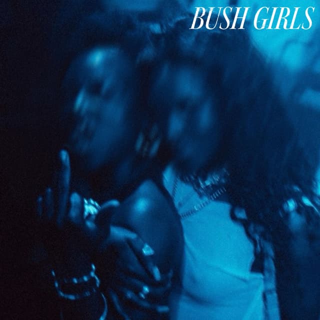 Album cover art for Bush Girls