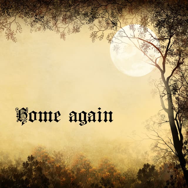 Album cover art for Home Again