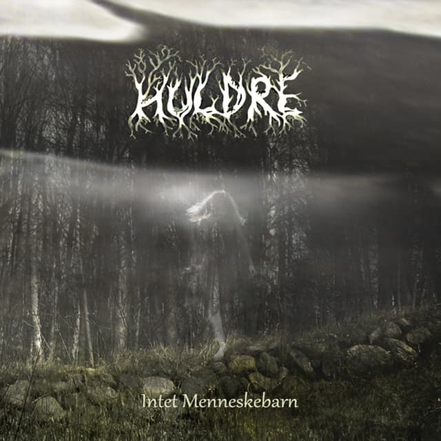 Album cover art for Intet Menneskebarn