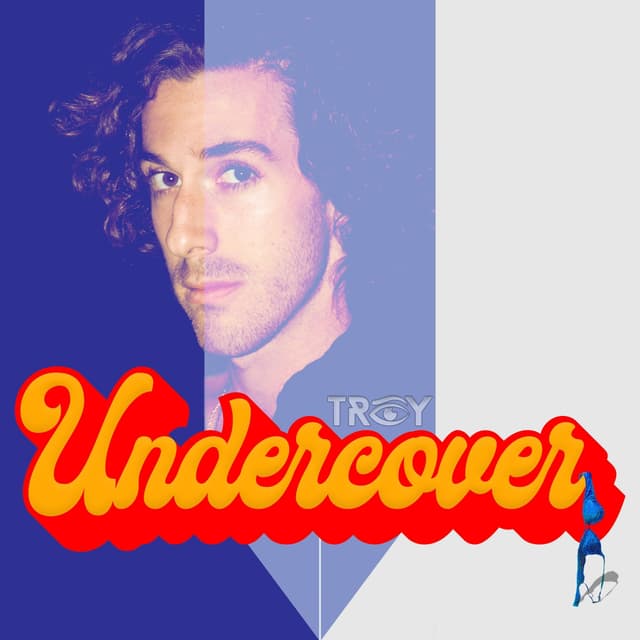 Album cover art for Undercover