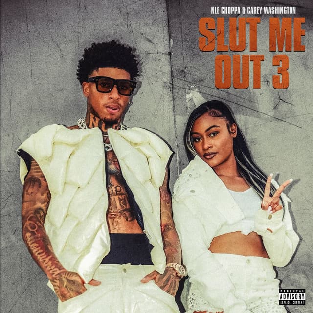 Album cover art for Slut Me Out 3
