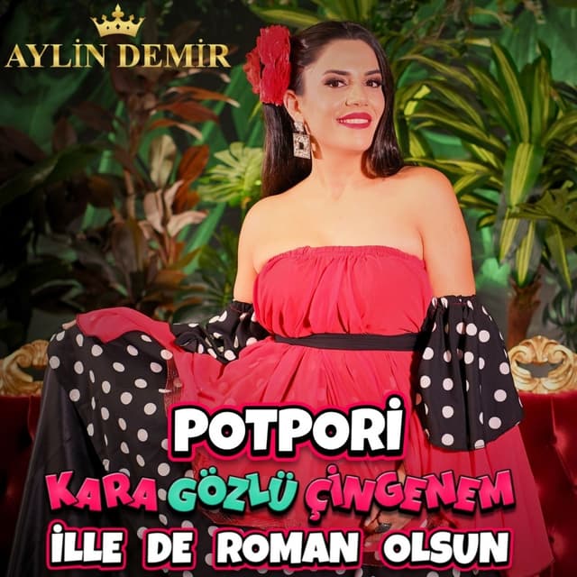 Album cover art for Kara Gözlü Çingenem / İlle de Roman Olsun (Potpori Roman Havası)