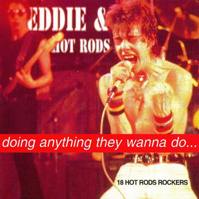 Album cover art for Doing Anything They Wanna Do...