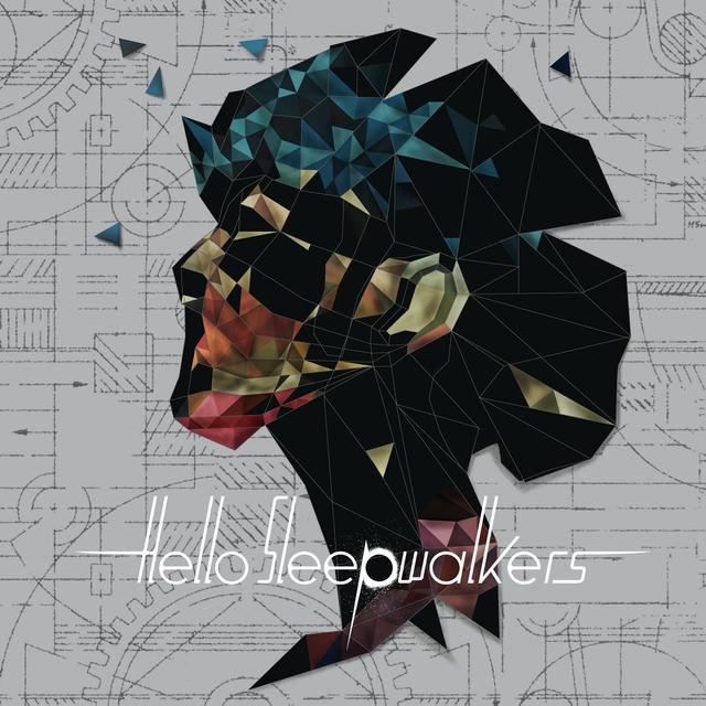 Album cover art for Planless Perfection