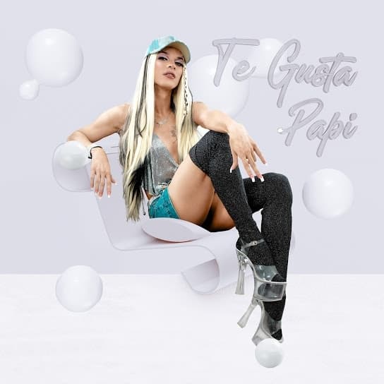 Album cover art for Te Gusta Papi