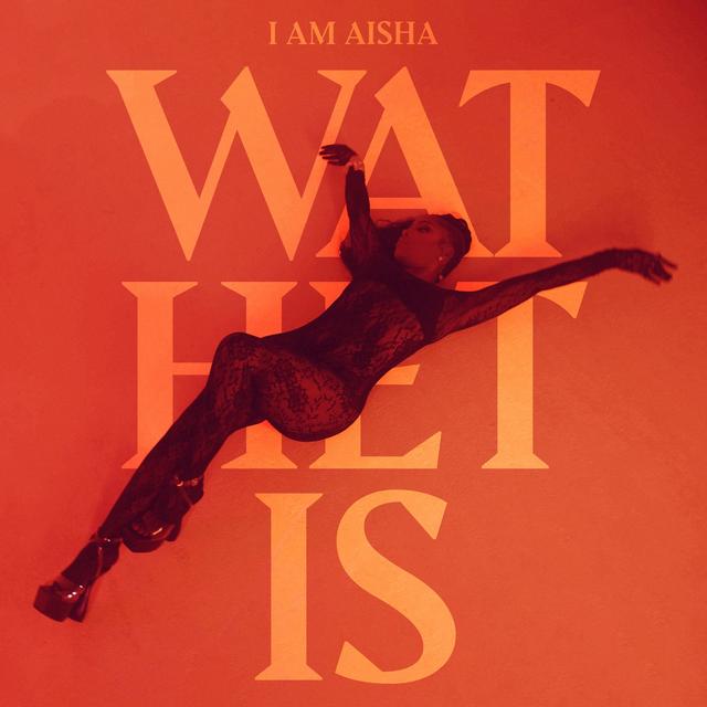 Album cover art for Wat Het Is