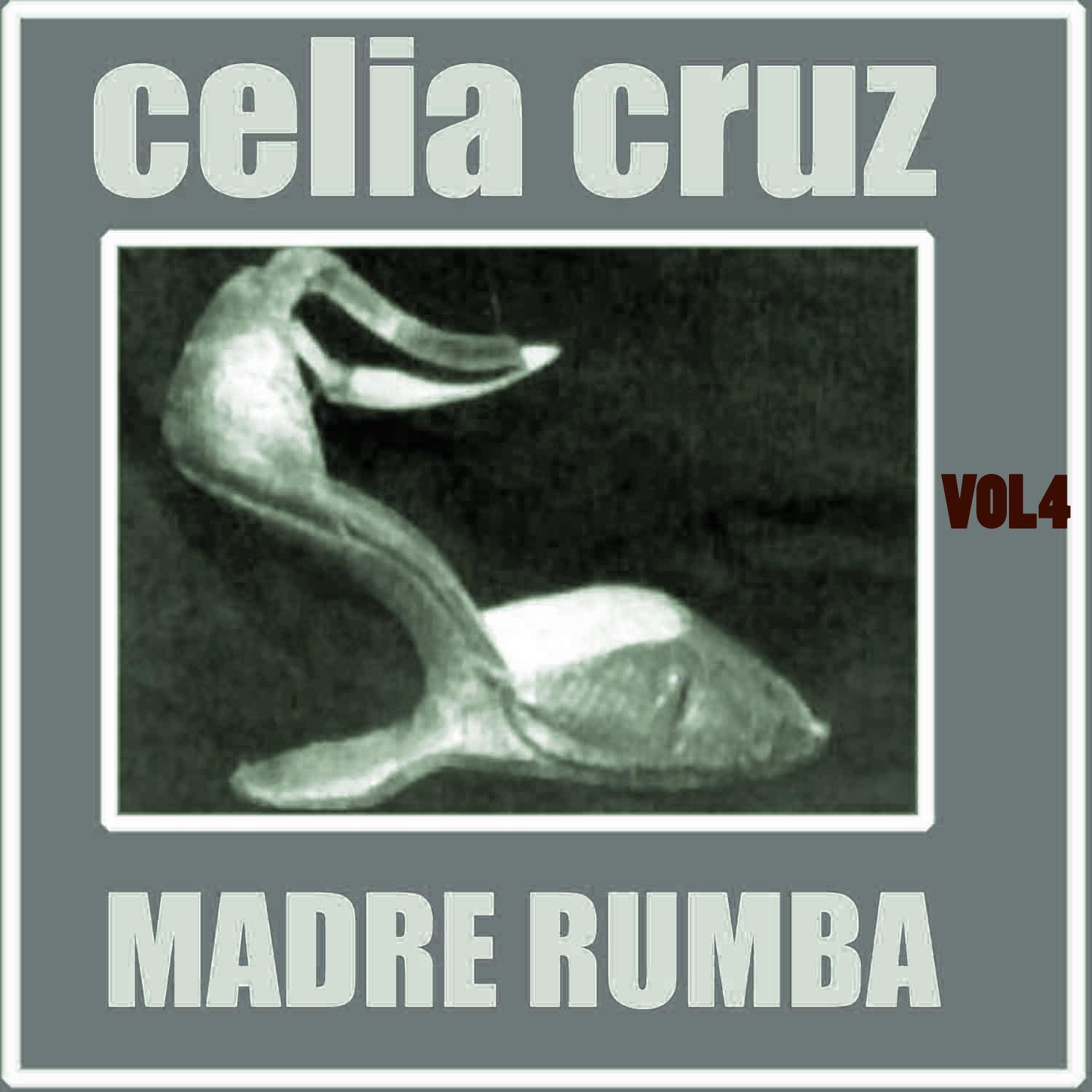 Madre Rumba Volumen 4