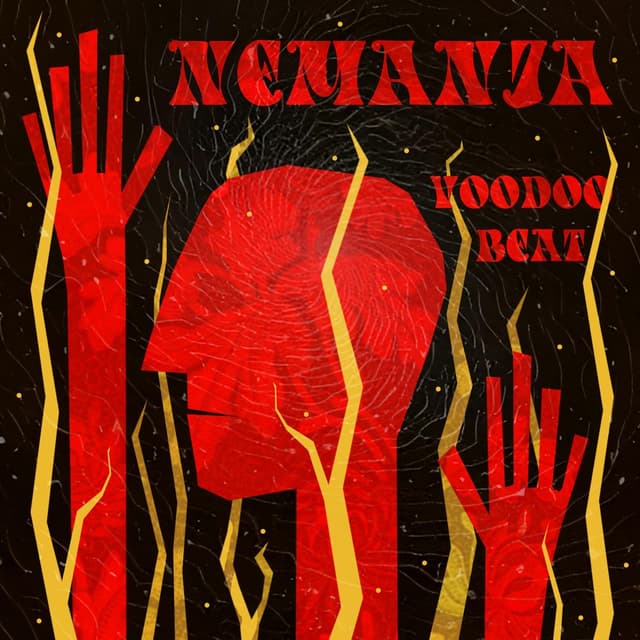 Album cover art for Voodoo Beat