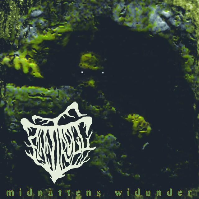 Album cover art for Midnattens Widunder