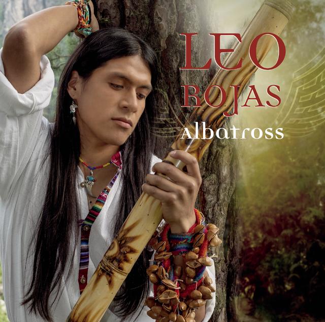 Album cover art for Albatross